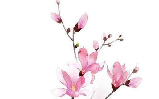 子字配什么好聽的名字