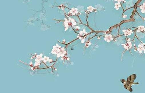 怎么看八字硬不硬出生時間 怎么測算八字硬不硬