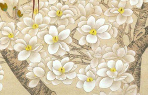 2023年屬兔本命年戴什么轉運,2023年屬兔本命年戴什么轉運飾品