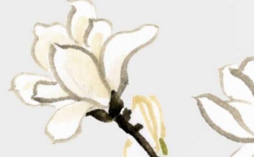 天蝎女為什么氣質都很好 天蝎女為什么那么漂亮 天蝎女為什么氣質都很好 天蝎女為什么那么漂亮