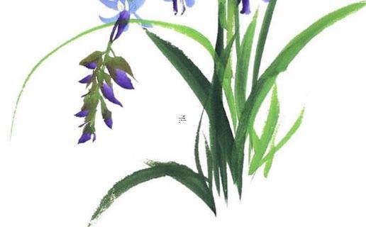 陰歷陽歷生日都過好嗎 陰歷生日和陽歷生日都過不好嗎