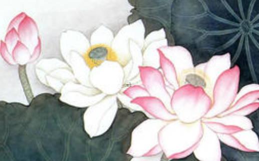 八字里面兒子代表什么 八字中的子代表什么意思