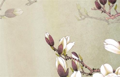 平時(shí)吃什么對(duì)心臟有好處 吃什幺對(duì)心臟好