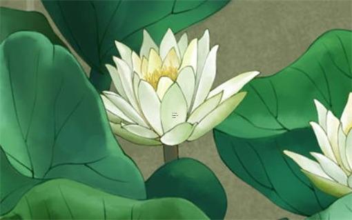 兔年本命年的運(yùn)程咋樣,兔年本命年好嗎