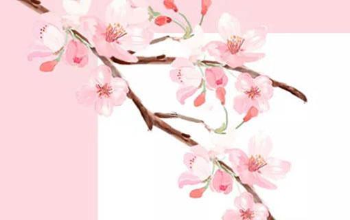什么蛇是苦命蛇12月出生 12月份的蛇是什么命