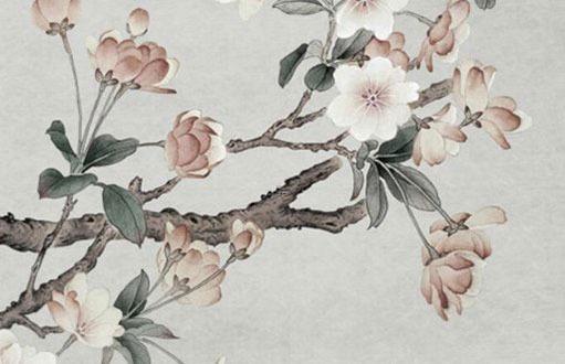 屬龍女最典型的缺點,屬龍女好嗎?是怎樣一個人 屬龍女最典型的缺點,屬龍女好嗎?是怎樣一個人