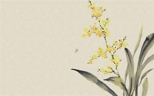 屬龍和屬兔的夫妻生個(gè)鼠寶寶,屬龍和屬兔的生個(gè)屬什么的寶寶好