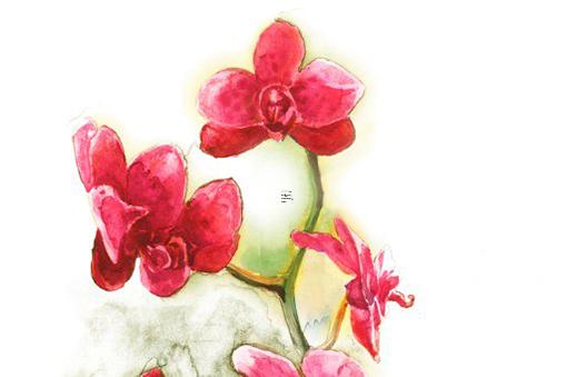 八字缺木火怎么取名字 生辰八字缺木缺火取什么名字最好