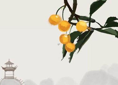 屬豬人最旺財?shù)膶偈裁?屬豬的什么招財