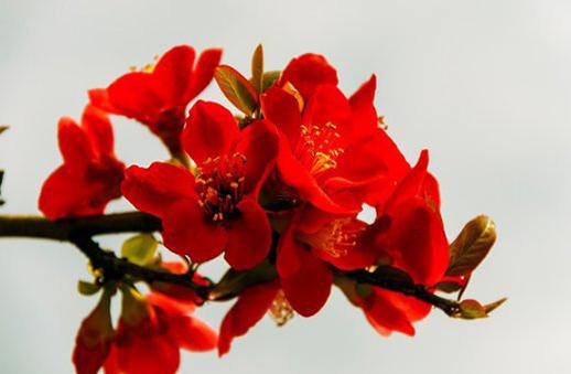 農(nóng)歷七月十六是什么時(shí)候 農(nóng)歷七月十六是什么日子