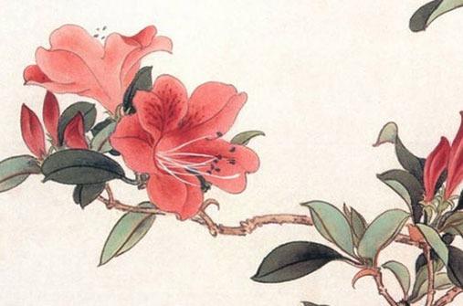 屬豬和屬虎,屬豬和屬虎的適合做夫妻嗎
