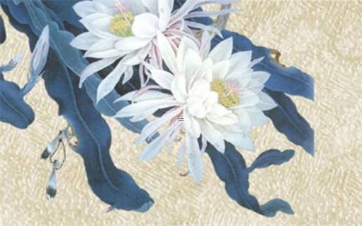 92年4月生屬猴男婚姻,92年4月男猴的命運(yùn)