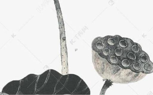 屬虎的找對象怎么找,屬虎的找什么對象