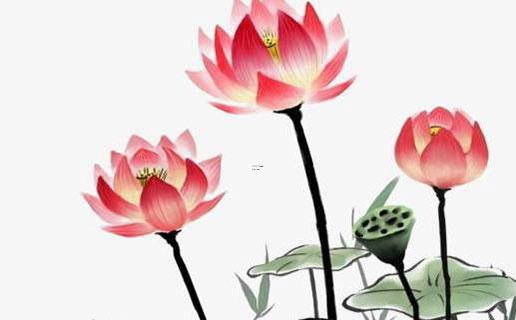 好聽的英文lol名字