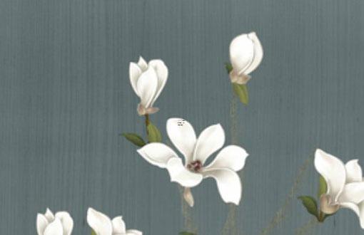 屬虎農(nóng)歷6月運(yùn)勢(shì)如何 屬虎的農(nóng)歷六月運(yùn)勢(shì)