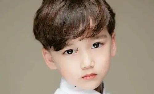 夢見5條蛇周公解夢 夢見五條大蛇是什么意思