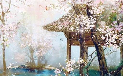 屬鼠的家里擺件放什么不好,屬鼠的人家中擺放什么招財