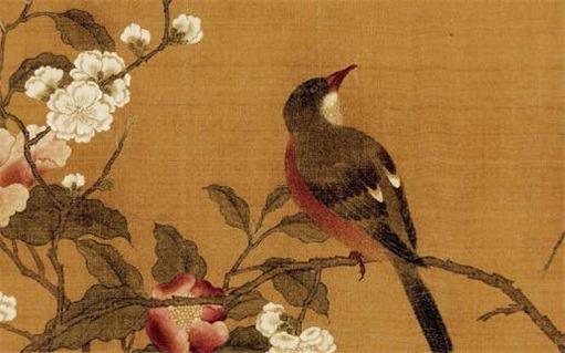 屬龍和屬虎養什么花好 屬虎的養什么花好呢