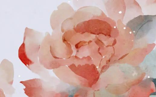算命說黃花是什么意思 黃花指代什么意思