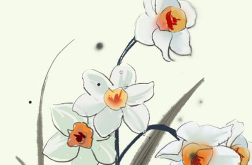 屬鼠與什么屬相最配 屬鼠配什么生肖最旺