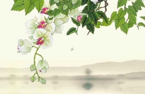 71年屬豬做什么行業好 1971年的豬適合做什么行業