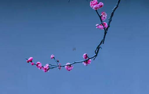 農(nóng)歷六月適合結(jié)婚的日子 農(nóng)歷六月適合結(jié)婚的日子有哪些