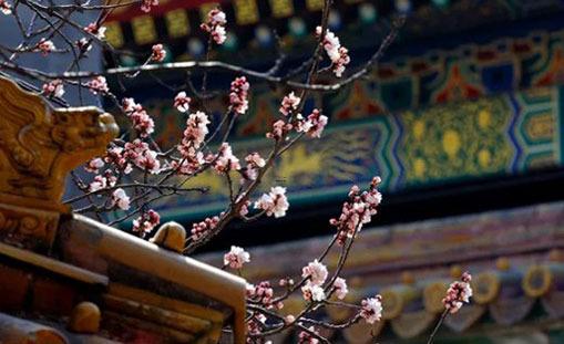 易經(jīng)怎理解始字的意思 始的含義