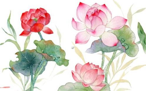 生晨八字什么意思 生晨八子是什么意思