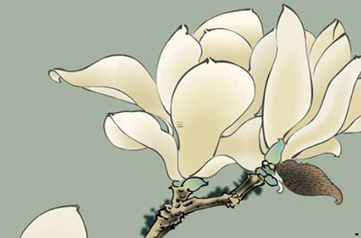 92年屬猴女的壽命,92年屬猴女一生幾次婚姻