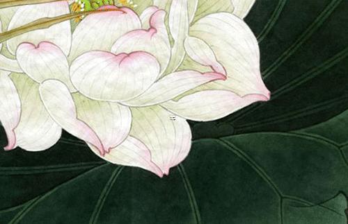 77年屬蛇有桃花劫嗎,77年蛇女有桃花劫嗎