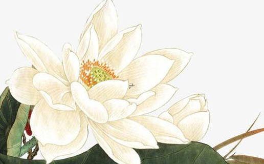 寶寶八字缺木缺火的名字大全 寶寶缺木缺火起名大全