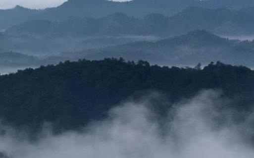 屬豬生肖年份對照表 生肖屬豬的年份表