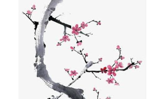 70后的屬豬婚姻,70后屬豬的今年多少歲