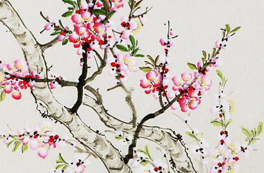 5月14日生日花：普通牡丹花 5月14日的生日花是什么