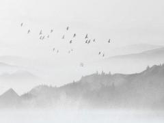 塔羅牌78張牌的含義 塔羅牌78張牌介紹