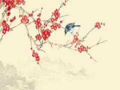 20081204農歷是多少 20080904農歷是多少