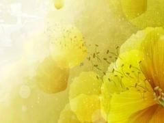 什么名字適合早晨出生的寶寶 早上出生取什么小名比較好