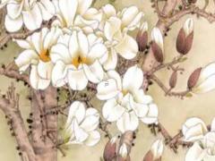 屬鼠女一生的婚姻命運如何 屬鼠女一生有幾段婚姻