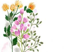 八字喜火土發(fā)展方位 命局喜火土的人必讀