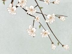 正月出生的八字是什么生肖 正月出生的人命好嗎