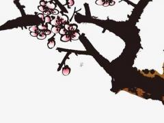 八字算命里面的七殺是啥意思呀 八字里面的七殺是什么意思