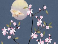 九月十五農歷是多少 九月十五農歷是多少日