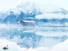 1988年農歷十月初五 1988年農歷十月初五是什么命格