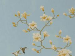 屬蛇的今年適合養什么花,屬蛇的今年養什么植物