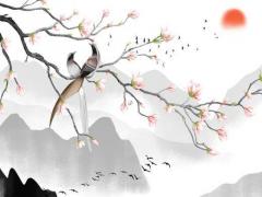 測試你是什么系女生 測測你是什么系長相