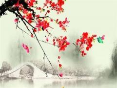 農歷三月一日是什么星座 農歷三月一日是什么星座啊