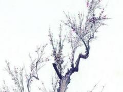 屬鼠男人會愛上的女人 屬鼠的男人和屬鼠的女人