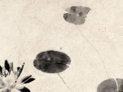 屬虎和屬豬婚配怎樣,屬虎和屬豬的結(jié)婚合適嗎