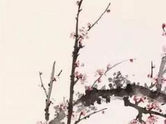 怎么查自己的住院病歷 怎么查自己的住院病歷報告