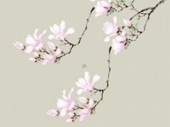 陰歷2月18日陽歷是多少 陰歷2月18日是星期幾